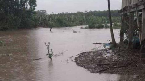 Crecida del río Sajta afecta cultivos en Puerto Villarroel