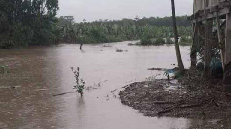 Crecida del río Sajta afecta cultivos en Puerto Villarroel