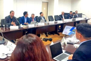 YPFB fertilizantes Brasil