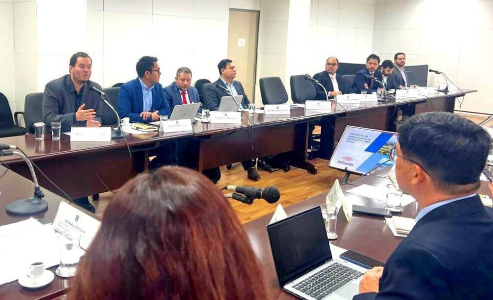 YPFB fertilizantes Brasil