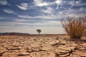 Proyecciones alarmantes sobre estrés hídrico para 2050