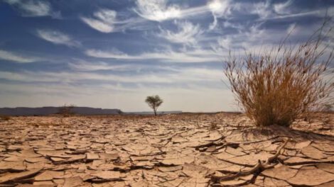 Proyecciones alarmantes sobre estrés hídrico para 2050