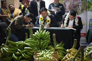 desarrollo agropecuario en el Trópico de Cochabamba y norte paceño