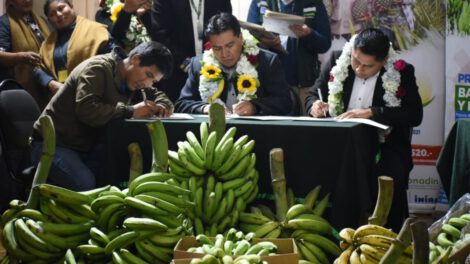 desarrollo agropecuario en el Trópico de Cochabamba y norte paceño