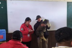 Campaña de Vacunación Antirrábica en Oruro