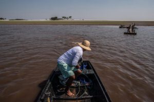 Crisis climática Amazonía afecta ecosistema acuático