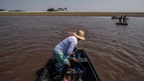Crisis climática en la Amazonía afecta severamente el ecosistema acuático