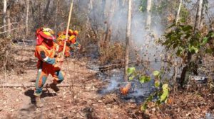 Prohiben quemas en Santa Cruz ante la proliferación de incendios