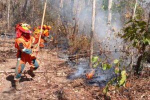 Prohiben quemas en Santa Cruz ante la proliferación de incendios