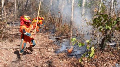 Prohiben quemas en Santa Cruz ante la proliferación de incendios