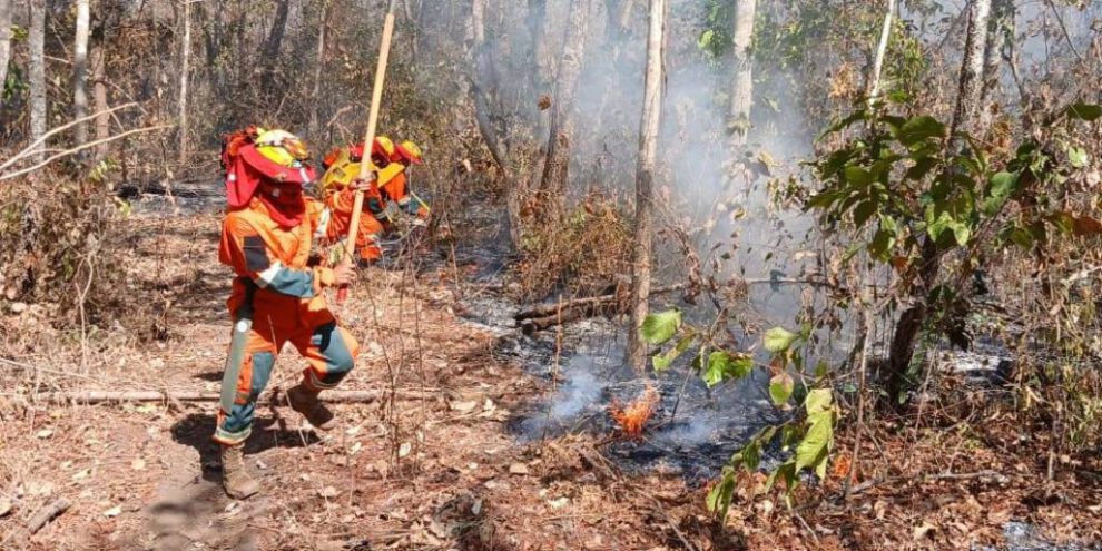 Prohiben quemas en Santa Cruz ante la proliferación de incendios