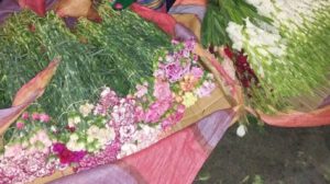 Floricultores en emergencia por contrabando en Cochabamba