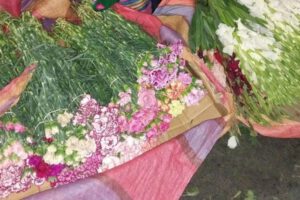 Floricultores en emergencia por contrabando en Cochabamba