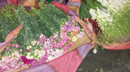 Floricultores en emergencia por contrabando en Cochabamba