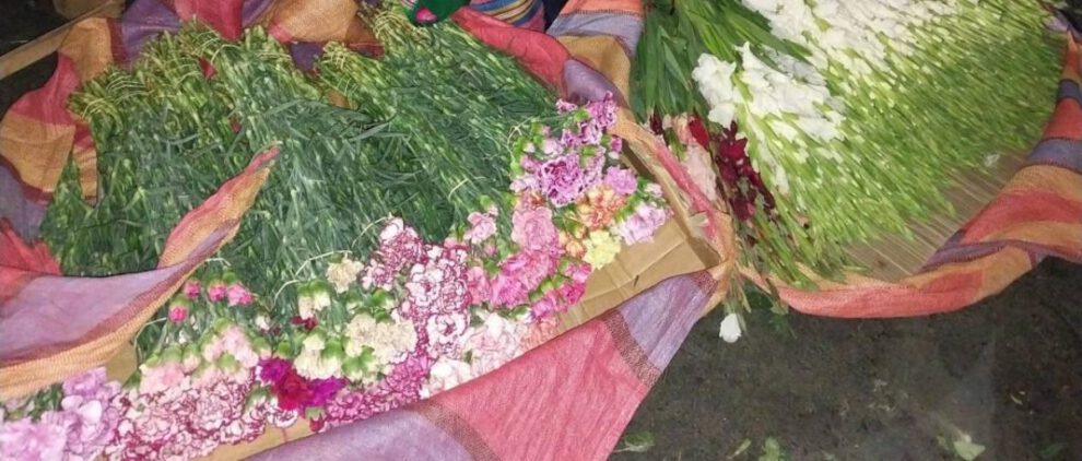 Floricultores en emergencia por contrabando en Cochabamba