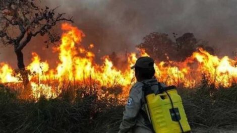 Incendios en Santa Cruz