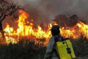 Incendios en Santa Cruz controlados por condiciones climáticas favorables