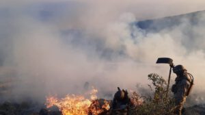 Incendios forestales en Cochabamba