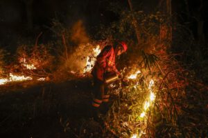 Incendios en el Pantanal