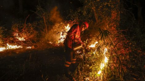 Crisis ambiental en el Pantanal por incendios que arrasan hectáreas