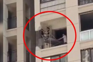 vecino retira pilar para tener mejor vista