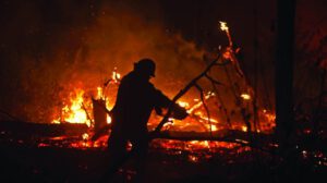 Incendios forestales en Santa Cruz
