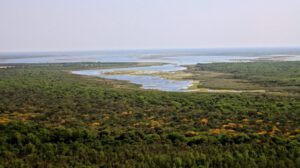 Deforestación en el Chaco argentino