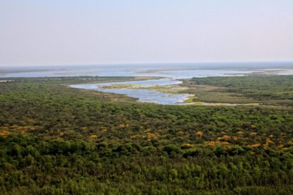 Deforestación en el Chaco argentino