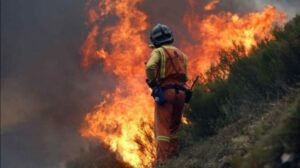 Incendios en Santa Cruz amenazan la flora y fauna