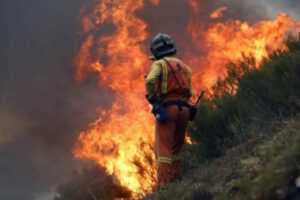 Incendios en Santa Cruz amenazan la flora y fauna