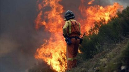 Incendios en Santa Cruz amenazan la flora y fauna