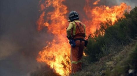 Incendios en Santa Cruz amenazan la flora y fauna