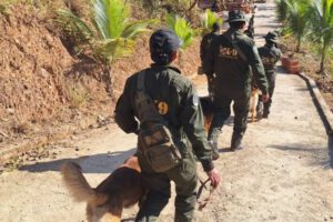 Desaparición de Odalis Vaquiata