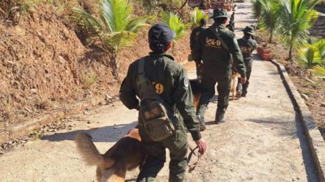 Desaparición de Odalis Vaquiata