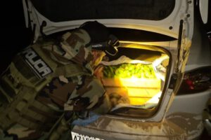 Cocaína oculta en locoto encontrada por la Felcn