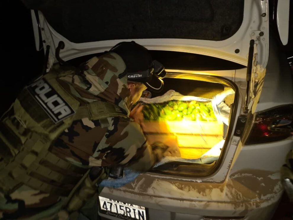 Cocaína oculta en locoto encontrada por la Felcn