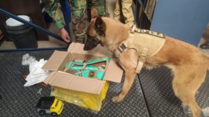 Detección de cocaína con ayuda del can Xoana