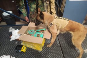 Detección de cocaína con ayuda del can Xoana