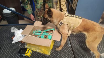 Detección de cocaína con ayuda del can Xoana