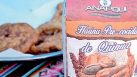 Consumo de quinua en Bolivia