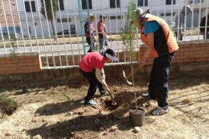 Campañas de Ecolimpieza y Forestación en El Alto