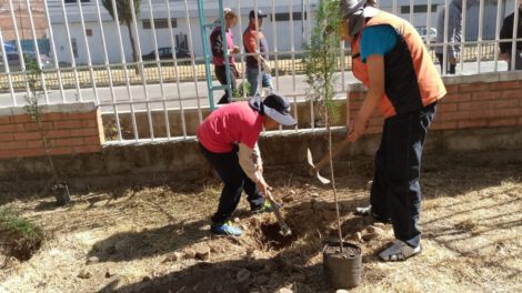 Campañas de Ecolimpieza y Forestación en El Alto