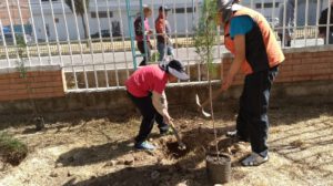 Campañas de Ecolimpieza y Forestación en El Alto