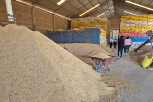 Abastecimiento de arroz en Bolivia