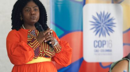 Francia Márquez, vicepresidenta de Colombia