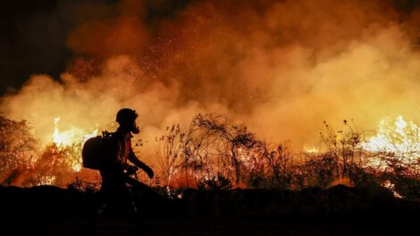 Incendios en el Pantanal controlados por el Gobierno brasileño