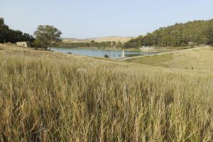 Crisis hídrica en Sicilia debido a sequía sin precedentes