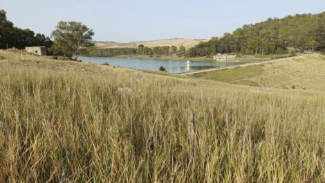 Crisis hídrica en Sicilia debido a sequía sin precedentes