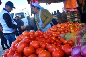 Aumento del precio del tomate debido a las heladas en Bolivia
