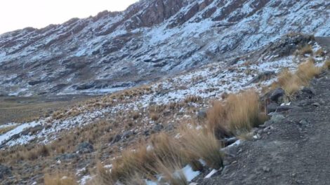Nevada en el Parque Tunari afecta cultivos y animales
